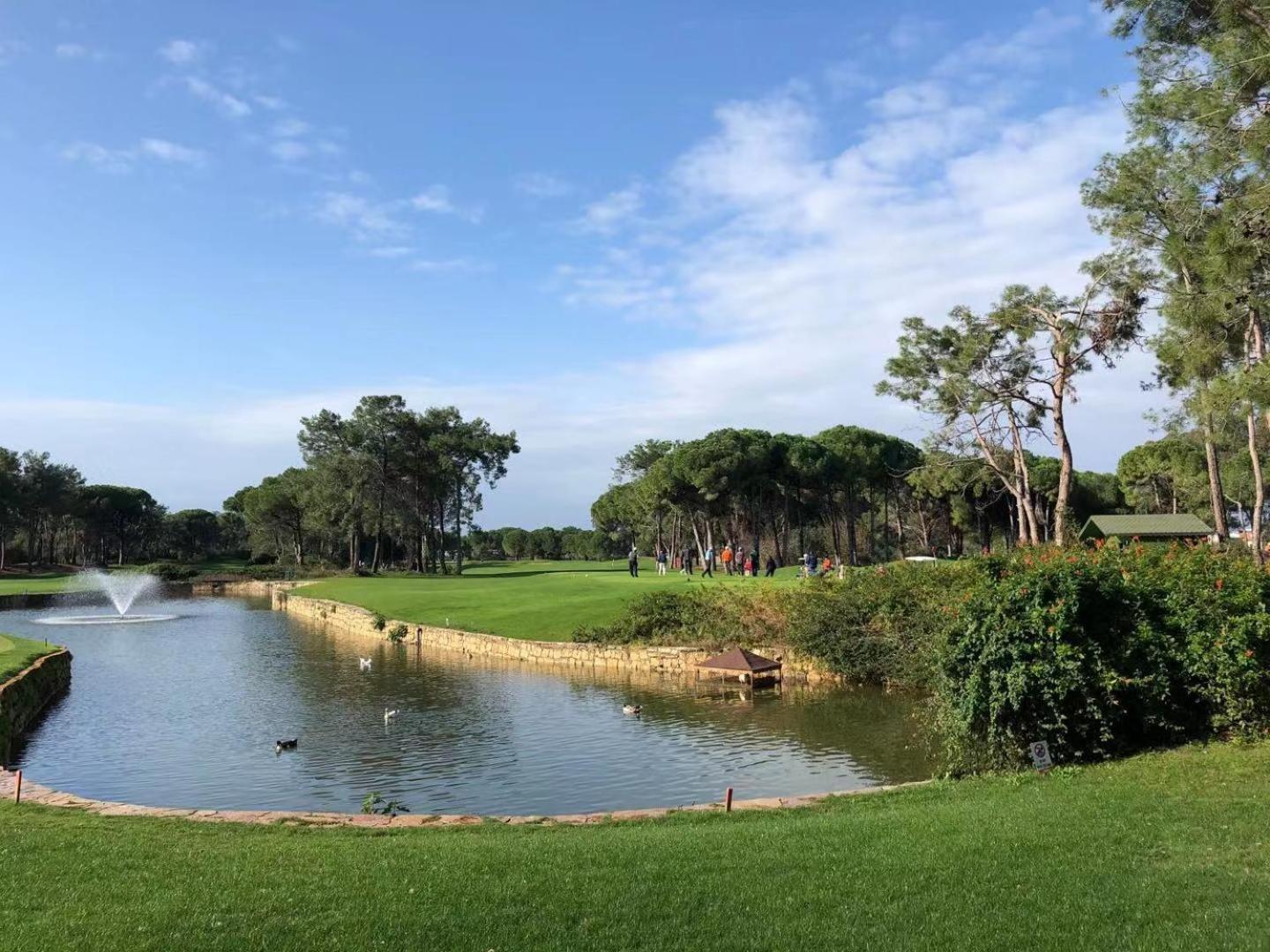Modern Cozy 2-Bedroom Los Dolses Villamartin Dehesa de Campoamor  ภายนอก รูปภาพ